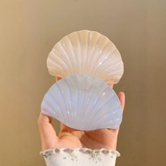 Kẹp Tóc Nhựa Hình Vỏ Sò Biển Thời Trang 15689
