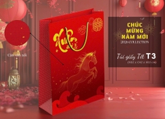 Túi Quà Cứng Dây Xoắn 32*42*13cm TẾT 16746