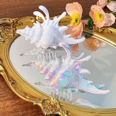 Kẹp Tóc Nhựa Hình Vỏ Ốc Biển Trắng 15543