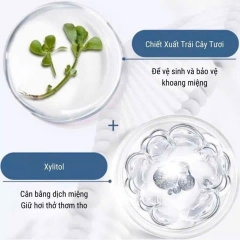 Xịt Thơm Miệng BOAE Hương Trái Cây 20ml 14009 14010 14011