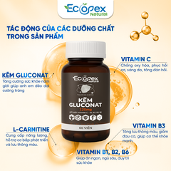 Kẽm Gluconat Tăng Cường Sức Khỏe Nam Giới - Hộp 60 Viên