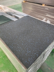 Tấm Cao Su trải sàn phòng Gym