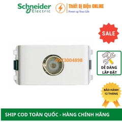 8431STV_WE_G19 Schneider Ổ cắm Tivi Zencelo A màu trắng