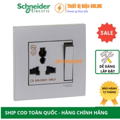 KB113LS_AS_G19 Schneider Ổ cắm đơn 3 chân đa năng có công tắc Vivace màu xám bạc