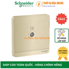 Ổ cắm Tivi Schneider E8331TV_WG_G19 AvatarON màu vàng