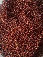 Lạc Nương Đỏ Rang Muối