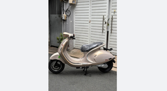 XE MÁY ĐIỆN REVO 946