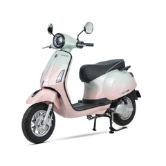 XE ĐIỆN ESPERO CLASSIC SE
