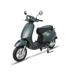 XE ĐIỆN ESPERO Classic Pro 2