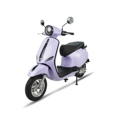 XE ĐIỆN ESPERO Classic Pro 2