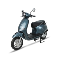 XE ĐIỆN ESPERO Classic Pro 2