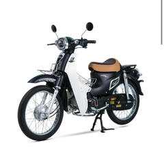 XE CUB 81 ESPERO PLUS 2 - 2024