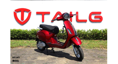 XE MÁY ĐIỆN TAILG R51