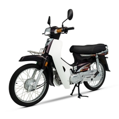 XE DREAM ESPERO 50CC