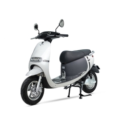 XE ĐIỆN ESPERO GOGO-F1 PRO