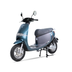 XE ĐIỆN ESPERO GOGO-F1 PRO