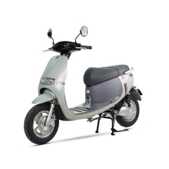 XE ĐIỆN ESPERO GOGO-F1 PRO