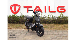 XE ĐIỆN TAILG GX30