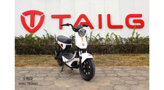 XE ĐIỆN TAILG GX30