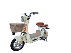 XE ĐẠP ĐIỆN MIMA A1