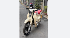 CUB 83 RETRO X - 50CC ESPERO