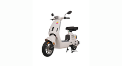 XE ĐẠP ĐIỆN TAILG GR55