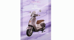 XE MÁY ĐIỆN TAILG R71