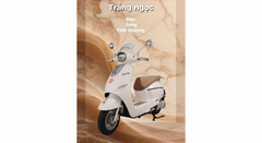 XE MÁY ĐIỆN TAILG R71