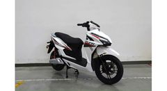 XE ĐIỆN VARIO TAILG T71