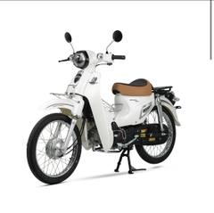 XE CUB 81 ESPERO PLUS 2 - 2024