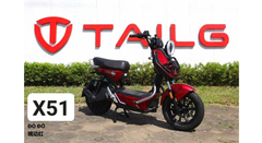 XE ĐIỆN TAILG X51