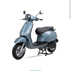 XE ĐIỆN ESPERO CLASSIC SE