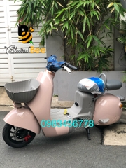 XE ĐIỆN TYPE 2 CITY
