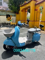 XE ĐIỆN TYPE 2 CITY