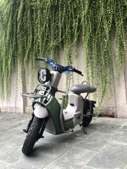 XE ĐIỆN TYPE 2 DISCOVERY