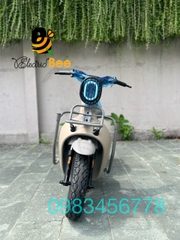 XE ĐIỆN TYPE 2 DISCOVERY