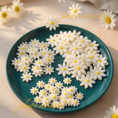 Kẹo Gum Đường
