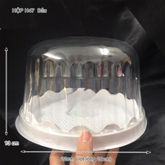 Hộp H47 nắp bầu/ 100c