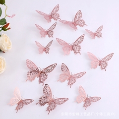 Bướm 3D/ Đồng