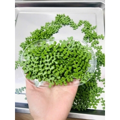 Kẹo Gum Hoa Cúc, Lá Thanh Hương Mini Trang Trí Bánh Kem