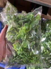 LÁ TAI CHUỘT