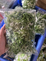 DƯƠNG XỈ