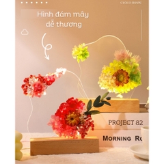 Quà tặng set đèn ngủ hoa khô vĩnh cửu tặng sinh nhật, tặng người yêu