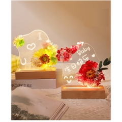 Quà tặng set đèn ngủ hoa khô vĩnh cửu tặng sinh nhật, tặng người yêu