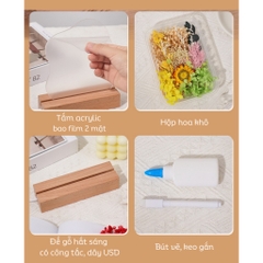 Quà tặng set đèn ngủ hoa khô vĩnh cửu tặng sinh nhật, tặng người yêu