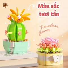 Quà tặng mô hình lắp ráp chậu hoa tí hon 1 tặng sinh nhật, tặng người yêu