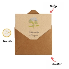 Set thiệp vintage, xinh xắn làm quà tặng kèm dịp sinh nhật, giáng sinh, các ngày lễ, ngày kỉ niệm