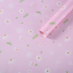 Giấy gói quà sinh nhật, giấy gói quà tặng hình cute, dễ thương