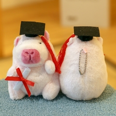 Quà tặng móc khóa hình Gấu Capybara dễ thương nhiều hình dạng, màu sắc