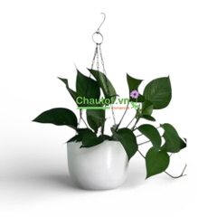 Chậu Composite Treo BAOBINH - CT2090